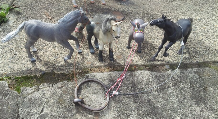 Portland has 1,500 iron rings embedded in its curbs for horses that died a century ago