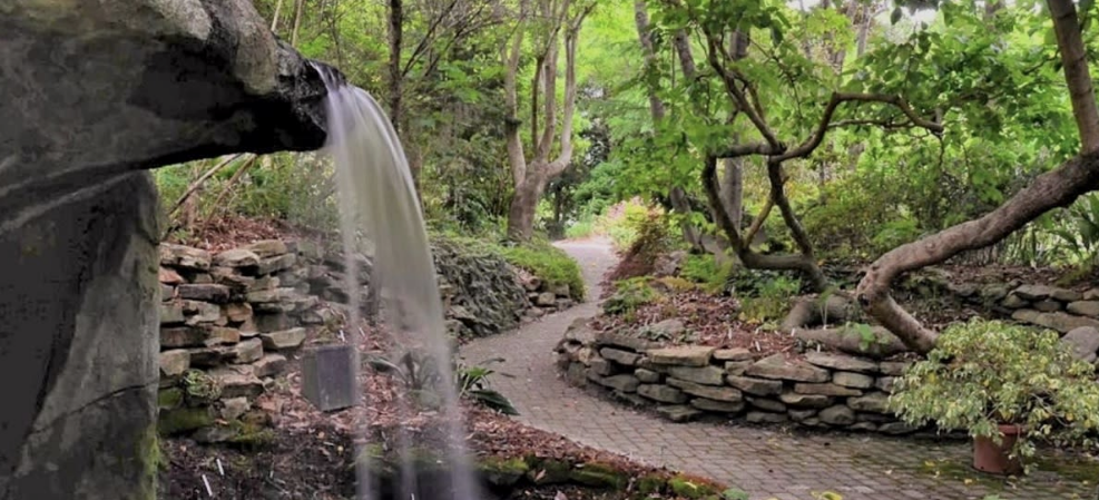 Juniper Level Botanic Garden